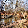 North Branch Chicago River in Caldwell Woods